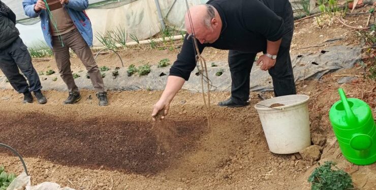 Pazaryeri’nde Yeni Dönem: Tütün İlçenin Geçim Kapısı Oluyor